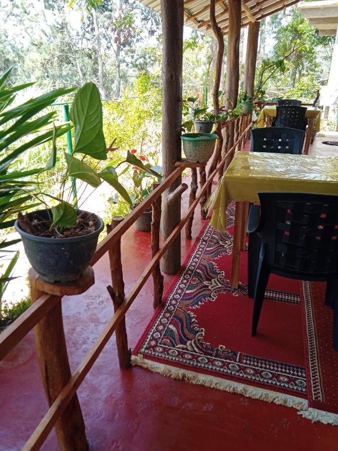 New Rose Villa Bandarawela Ella Exterior foto